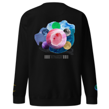 Load image into Gallery viewer, Heart Of Artistry Plentiful Universe Sweatshirt
